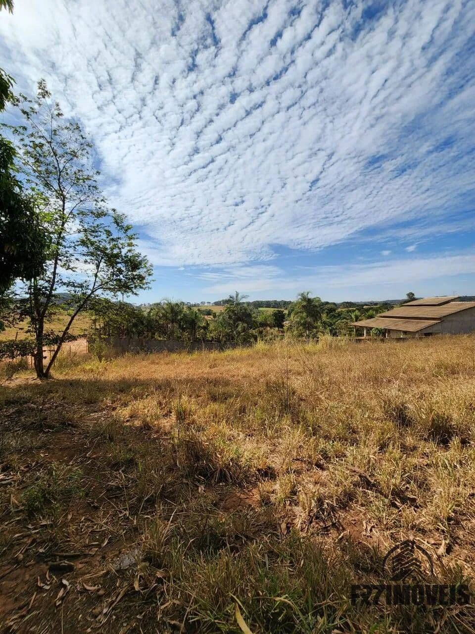 Imagem 5