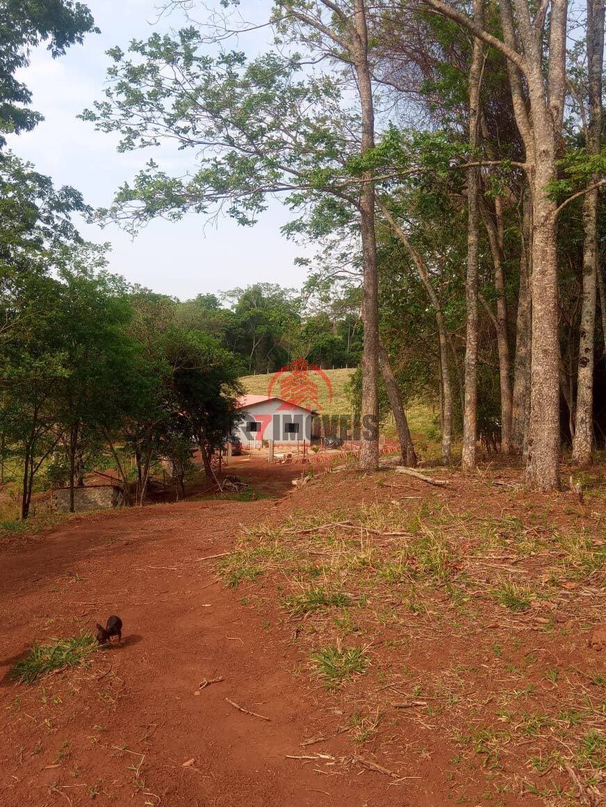 Imagem 3