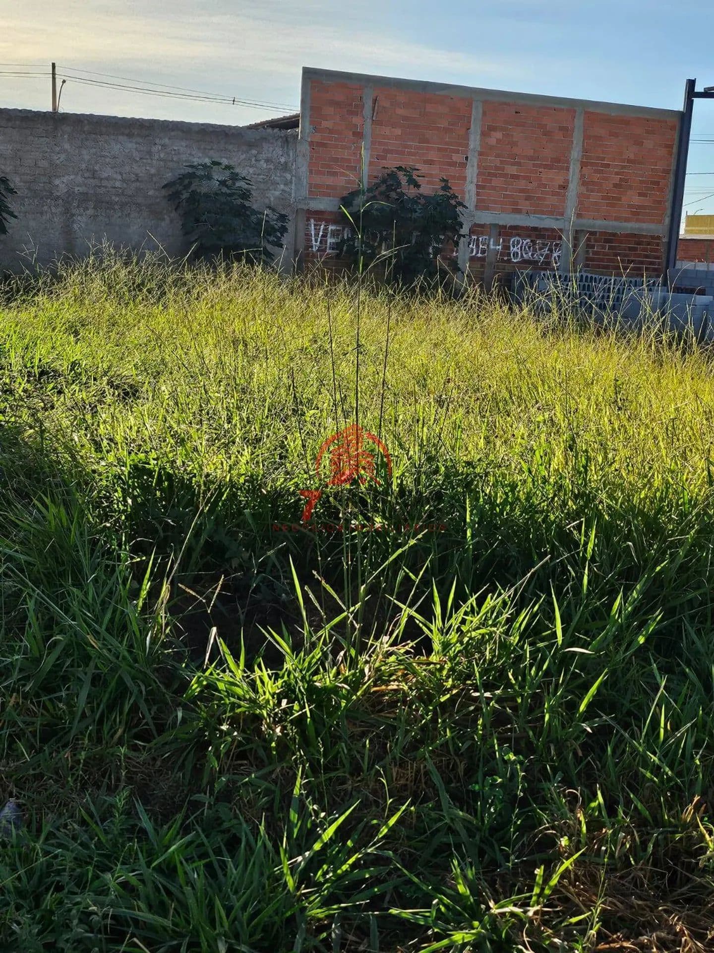 Imagem 6