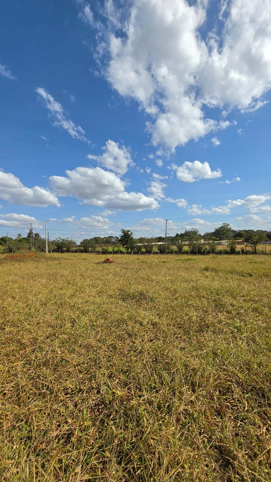 ÁREA A VENDA NA CHÁCARA RECREIO SAMAMBAIA - GOIÂNIA/GO