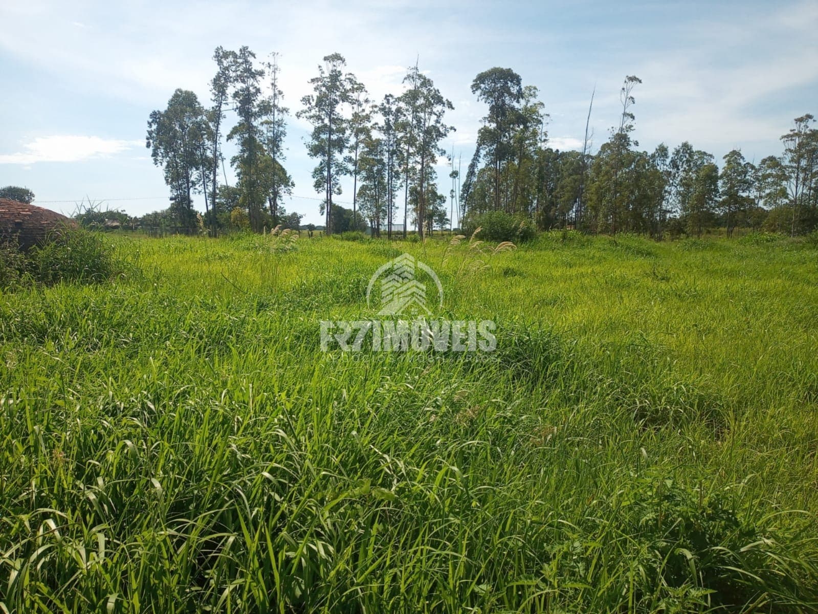 CHÁCARA 20.000M² NO MUNICÍPIO DE BELA VISTA DE GOIÁS/GO