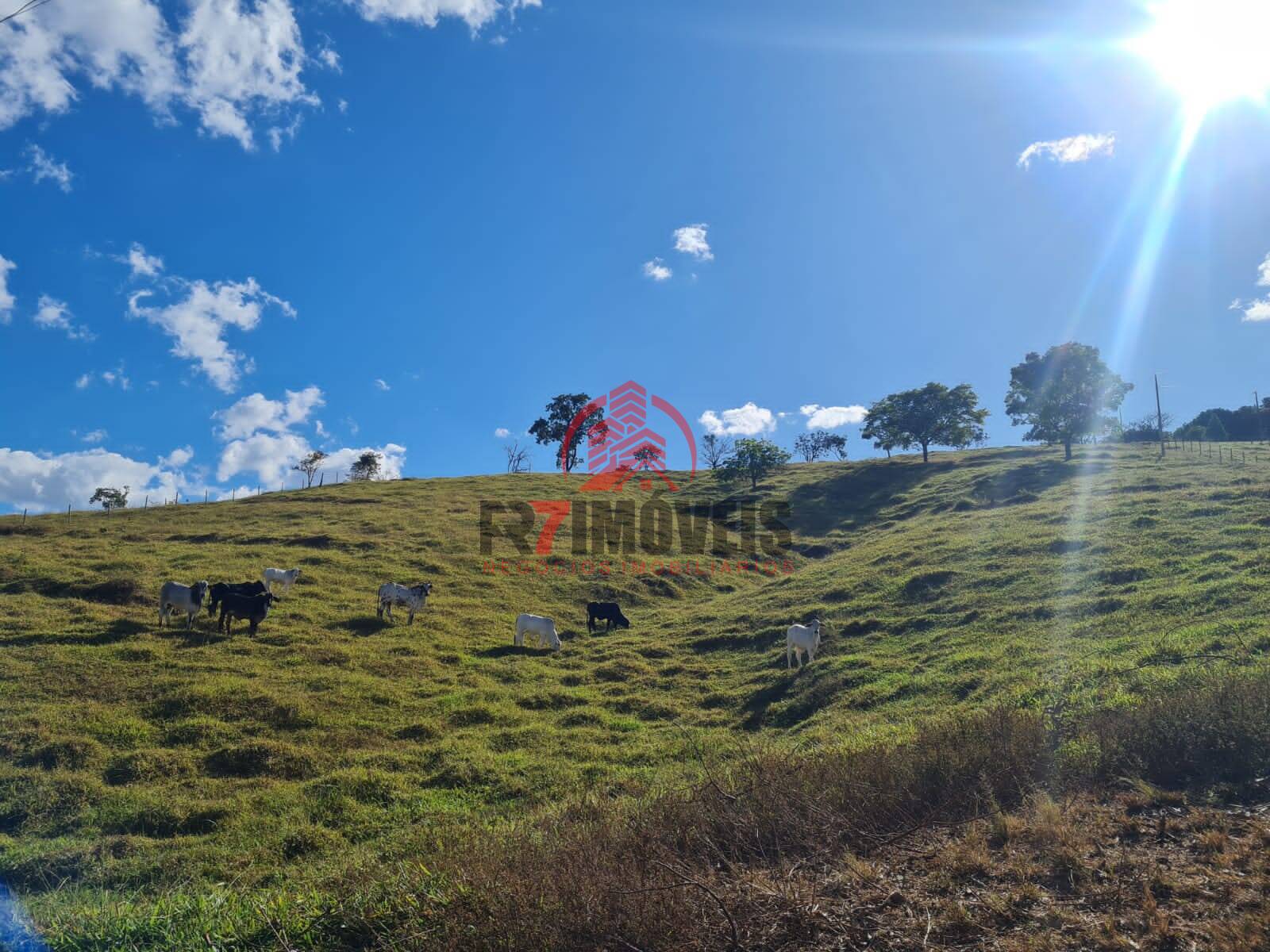 CHÁCARA NO MUNICÍPIO DE BELA VISTA – GO