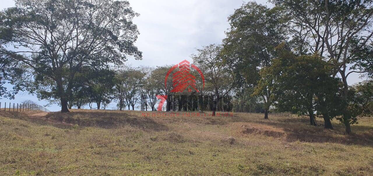 CHÁCARA NO MUNICÍPIO DE BELA VISTA – GO