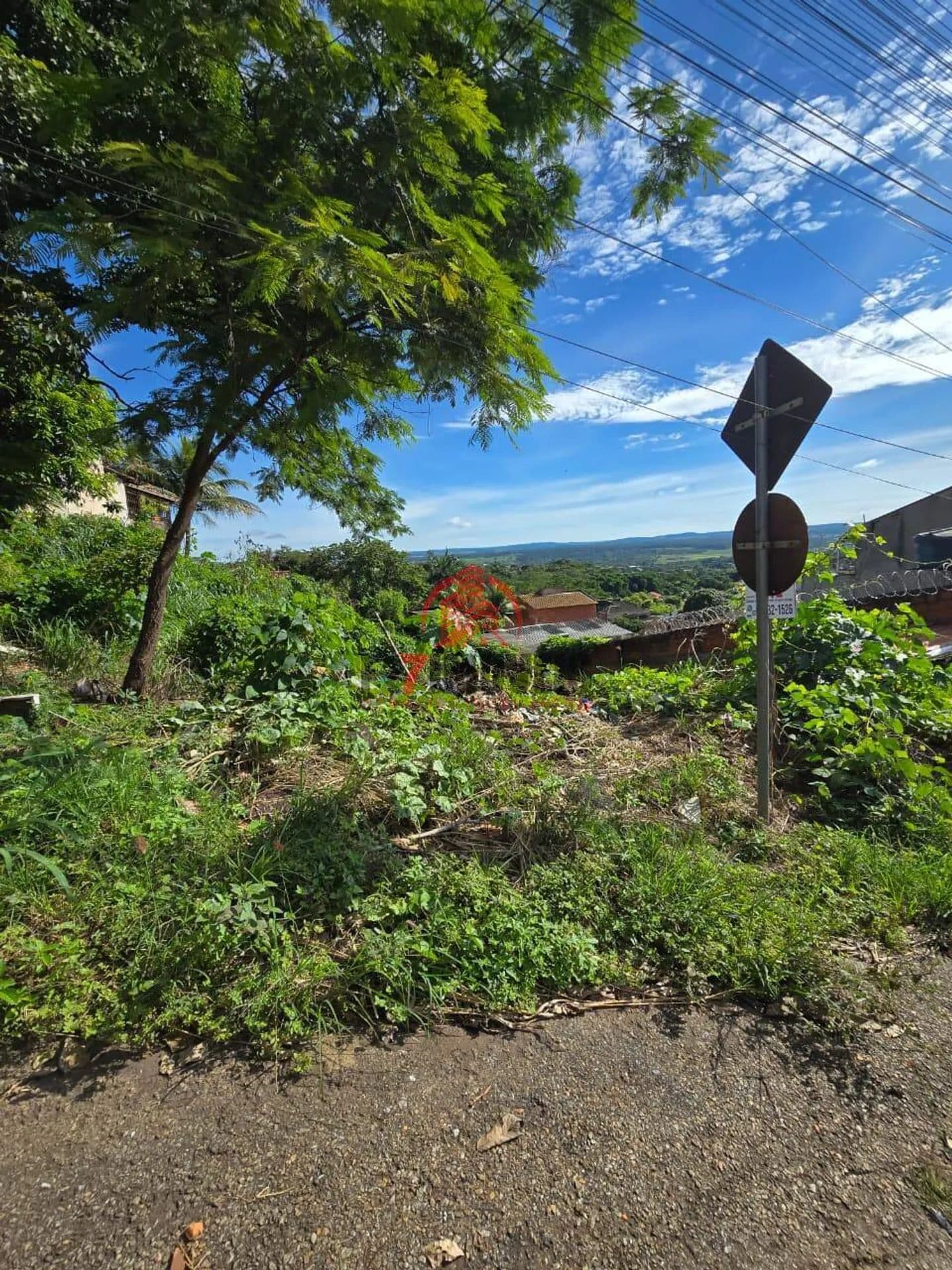 Imagem 6