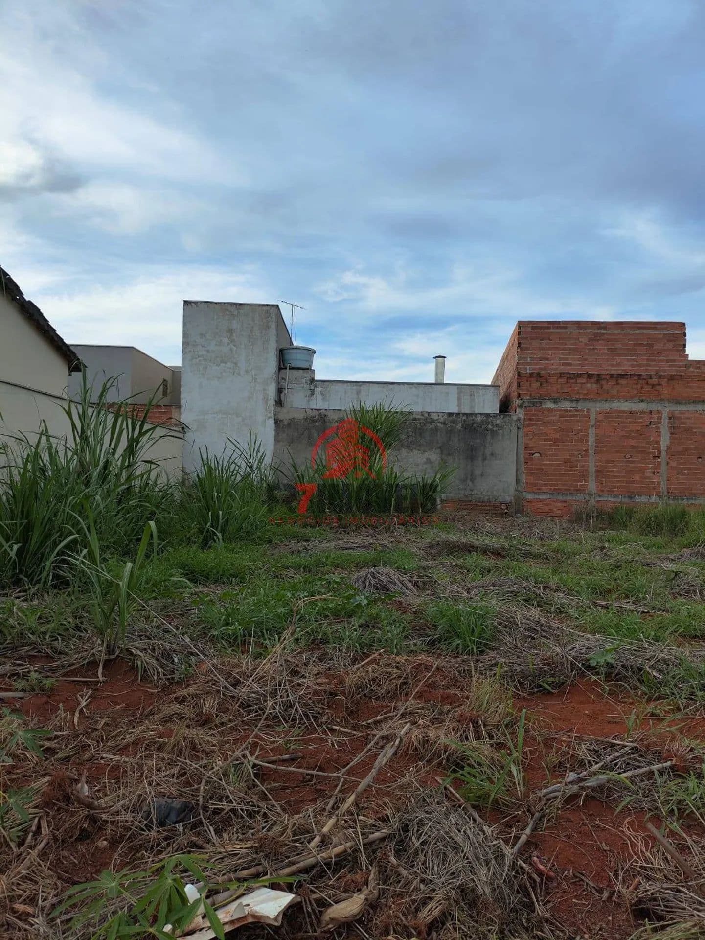 Imagem 4