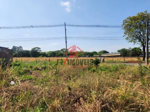 #1597 - Terreno para Venda em Goiânia - GO - 1