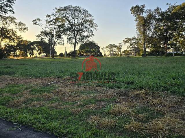 #2685 - Terreno em condomínio para Venda em Santo Antônio de Goiás - GO - 1