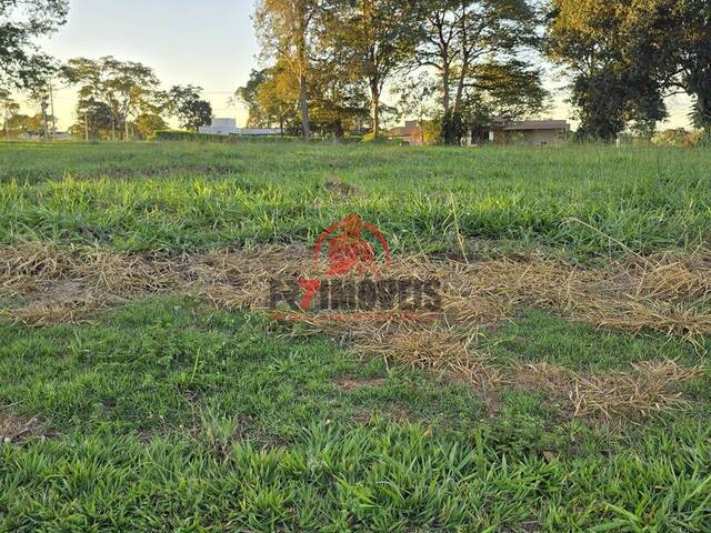 #2685 - Terreno em condomínio para Venda em Santo Antônio de Goiás - GO - 3