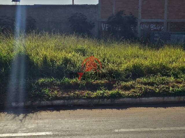#2687 - Terreno para Venda em Trindade - GO - 3