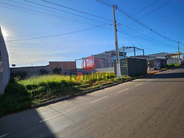 #2687 - Terreno para Venda em Trindade - GO - 1