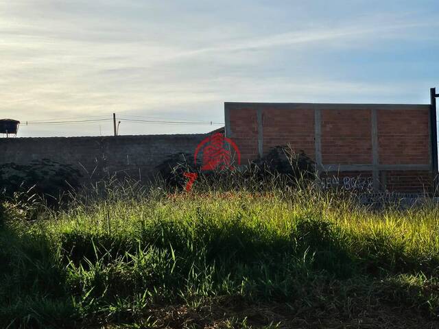 #2687 - Terreno para Venda em Trindade - GO - 2