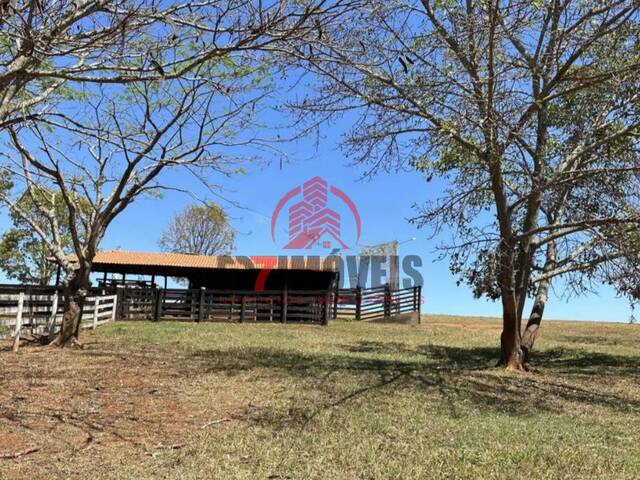 #2735 - Fazenda para Venda em Corumbá de Goiás - GO - 2