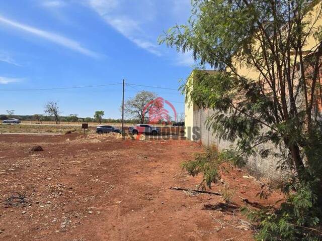 #2841 - Terreno para Venda em Goiânia - GO - 3
