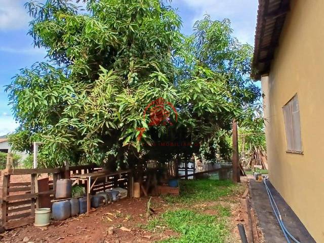 #2979 - Chácara para Venda em Damolândia - GO - 3