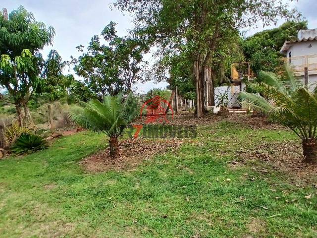 #2979 - Chácara para Venda em Damolândia - GO - 2