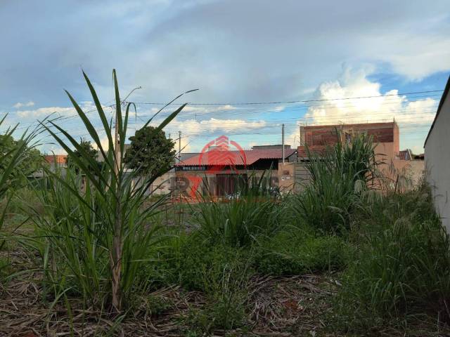 #2998 - Terreno para Venda em Goiânia - GO - 3