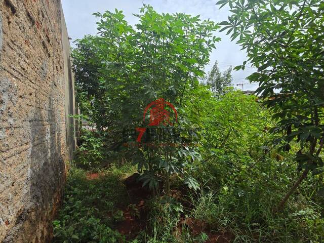 Área para Venda em Goiânia - 4