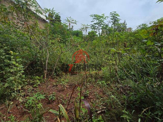 #3103 - Área para Venda em Goiânia - GO - 3