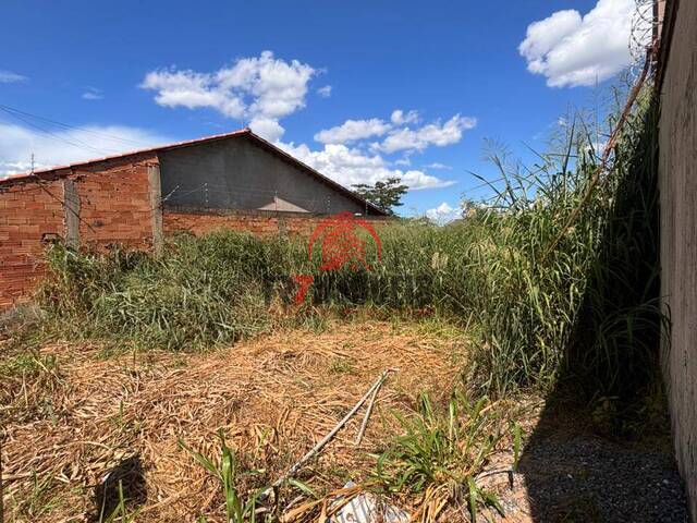 #3123 - Área para Venda em Goiânia - GO - 3